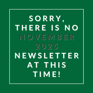 The image displays a message apologizing for the absence of a November 2025 newsletter.