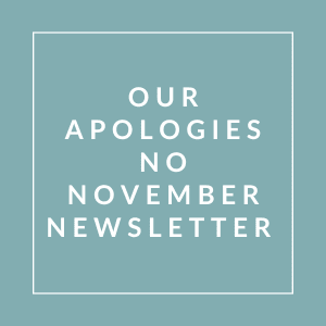 A square image with text apologizing for not having a November newsletter.