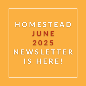 The image announces the availability of the Homestead June 2025 newsletter.