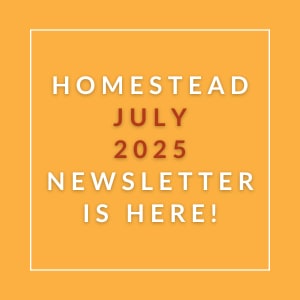 The image announces the availability of the Homestead July 2025 newsletter.
