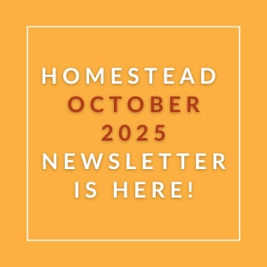 The image announces the availability of the Homestead October 2025 newsletter.