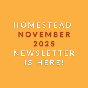 The image announces the availability of the Homestead November 2025 newsletter.