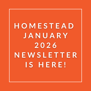 The image announces the availability of the Homestead January 2026 Newsletter.