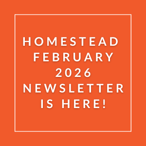 The image announces the availability of the Homestead February 2026 Newsletter.