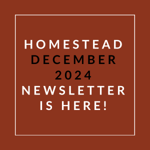 a white box with the words homelessness december 2024 newsletter is here