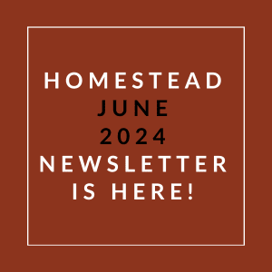 a white box with the text homestead june 2024 newsletter is here