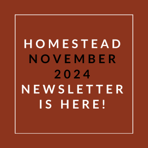 a white box with the text homestead october 2024 newsletter is here