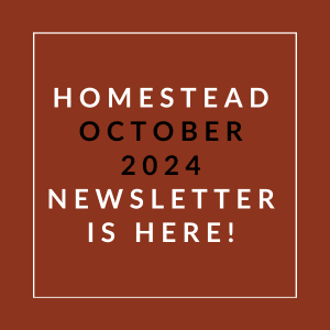 a white box with the text homestead october 2024 newsletter is here