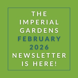 The cover of the Imperial Gardens February 2026 newsletter.