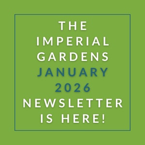 The cover of the Imperial Gardens January 2026 newsletter.