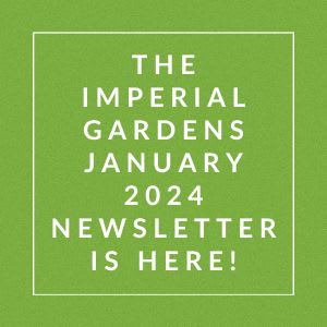 a green square with the words the imperial gardens january 2024 newsletter is here