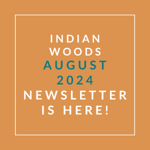 an orange background with the text woods august 2024 newsletter is here