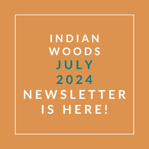 an orange background with the text woods july 2024 newsletter is here
