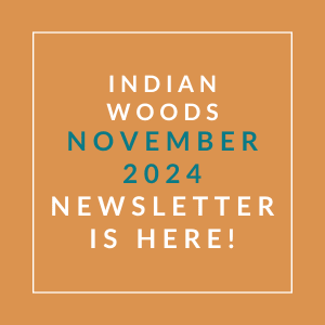 an aqua background with text that reads woods november 23 23