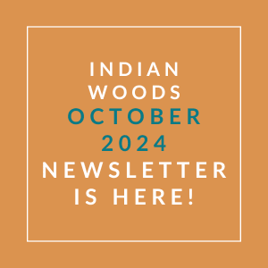 an orange background with the words woods october 24 2020 newsletter is here