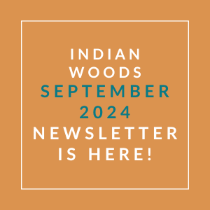 an orange background with the words woods september 2024 newsletter is here