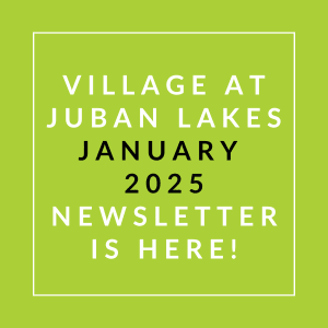 A green square with white text announcing the January 2025 newsletter for Village at Juban Lakes.