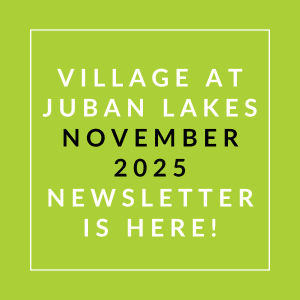 A green square with white text announcing the "Village at Juban Lakes November 2025 Newsletter is here!"