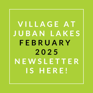 A green square with white text announcing the January 2025 newsletter for Village at Juban Lakes.