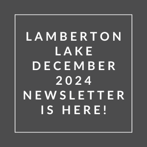 A grayscale image announcing the Lamberton Lake December 2024 newsletter.