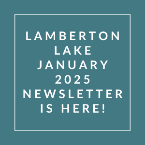 The image announces the availability of the Lamberton Lake January 2025 newsletter.