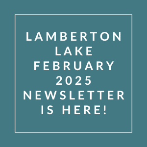 The image announces the availability of the Lamberton Lake February 2025 newsletter.
