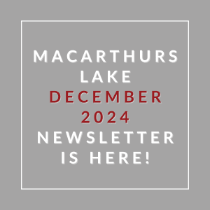 A gray background with text announcing the MacArthur Lake December 2024 newsletter.