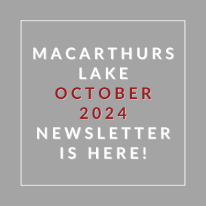 an image of a lake with the words october 2024 newsletter