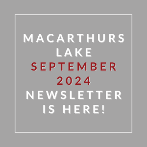a gray background with the words september 2024 newsletter is