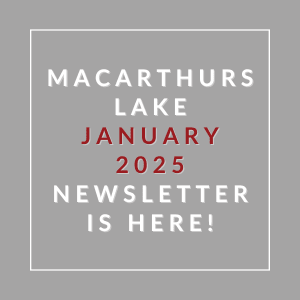 A gray square with text announcing the MacArthur Lake January 2025 newsletter.