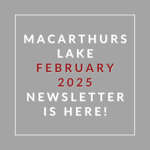 A newsletter for MacArthur Lake in February 2025 is available.