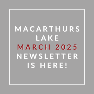 A grey square with text announcing the MacArthur Lake newsletter for March 2025.