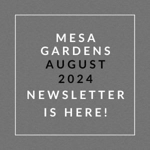 an image of a gray background with a white font stating mesa gardens july