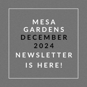 The image is a cover page of the Mesa Gardens December 2024 newsletter.