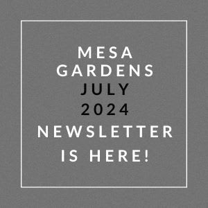 an image of a gray background with a white font stating mesa gardens july