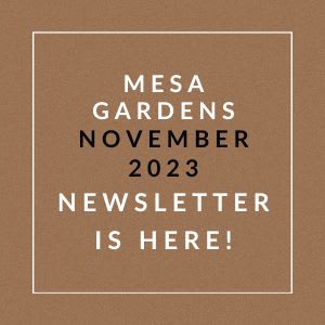 a brown and white background with the words mesa gardens november 22 23