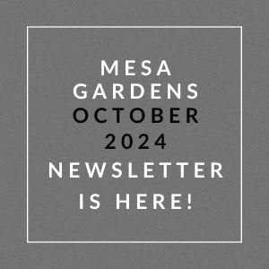an image of a gray background with the words mesa gardens october 2024 newsletter