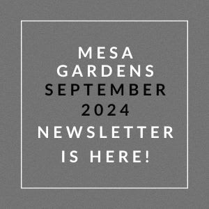 a gray background with the words mess gardens september 2024 and a white font