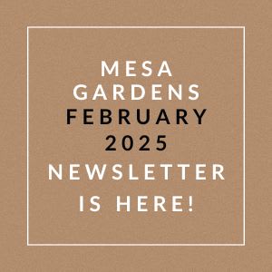 The image is a cover of the Mesa Gardens February 2025 newsletter.