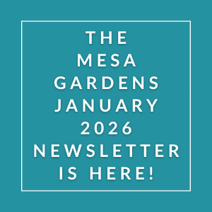 The Mesa Gardens January 2026 Newsletter is here.