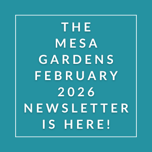 The Mesa Gardens February 2026 Newsletter is here.