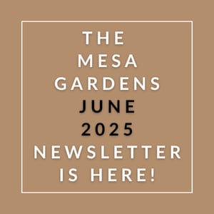 The Mesa Gardens June 2025 newsletter is available.