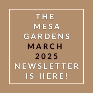 The Mesa Gardens March 2025 newsletter is available.