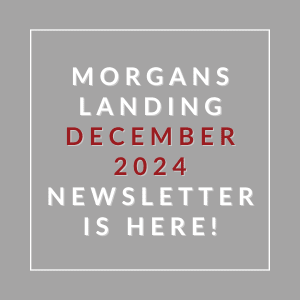 A gray square with text announcing the availability of the Morgan's Landing December 2024 newsletter.