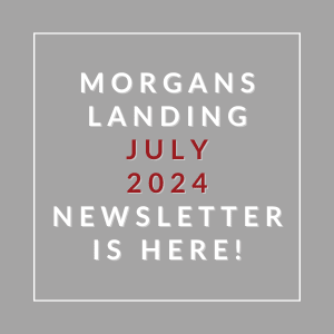 a gray background with white and red text and the words morgans landing july