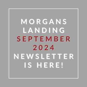 a gray background with the words morgans landing september 2024 newsletter is here