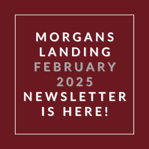 A red square with white text announcing the availability of the Morgans Landing newsletter for February 2025.