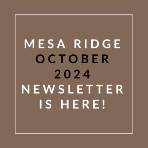 a vector illustration of a brown background with the words mega ridge october 2024 newsletter