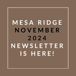 a vector illustration of a brown background with the words mega ridge october 2024 newsletter