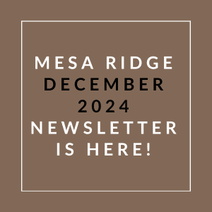 A brown square with white text announcing the Mesa Ridge December 2024 Newsletter.
